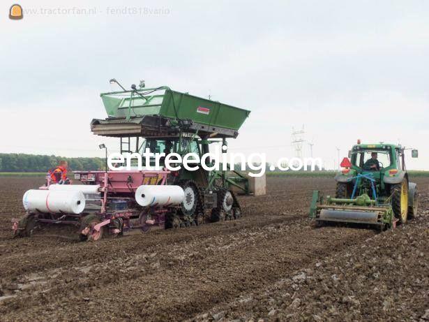 3 X Nettenplanters 1,80 met rupsen