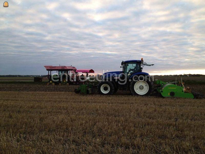 3 X Nettenplanters 1,80 met rupsen