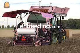 3 X Nettenplanters 1,80 met rupsen