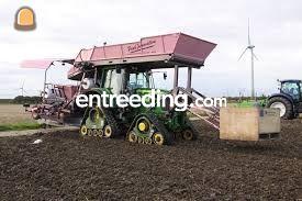 3 X Nettenplanters 1,80 met rupsen