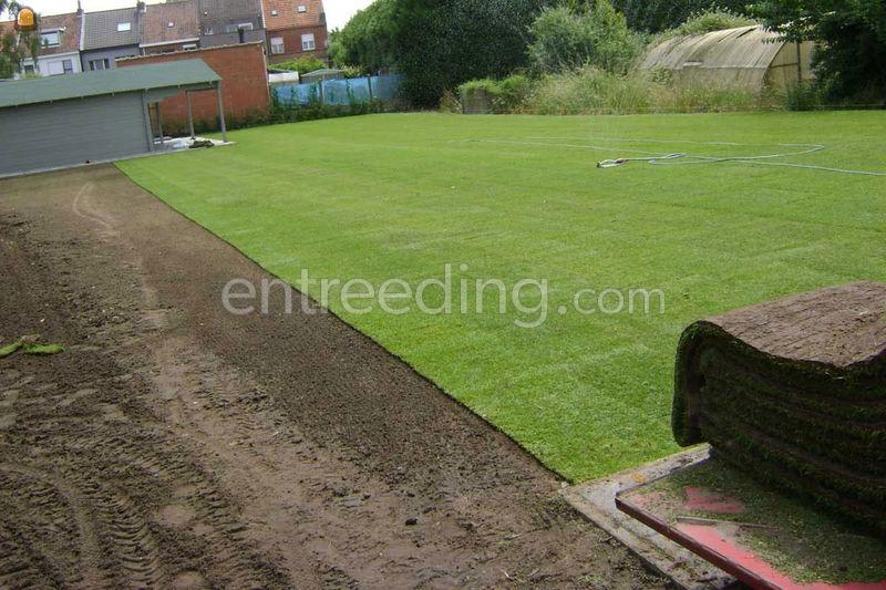 Voorbereidende werken, nivelleren