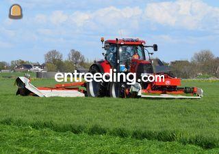 Case + Lely maaicombinati... Omgeving Alphen a/d Rijn