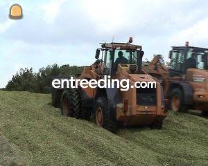 Case 721C Omgeving Oosterhout