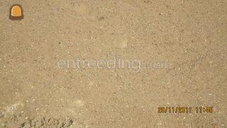 Menggranulaat 0-4 Omgeving Eindhoven