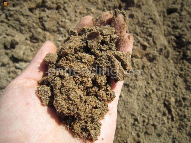 Zand voor zandbed