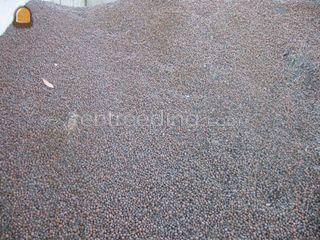 Argex 0-4 / 8-16 Omgeving Dronten