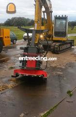 zaagkop Omgeving Langedijk