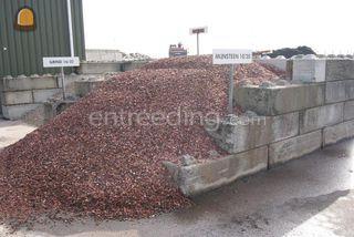 Mijnsteen 10/20 Omgeving Haarlem