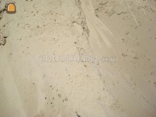 Duinzand Omgeving De IJsselsteden