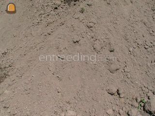 Dressgrond Omgeving De IJsselsteden