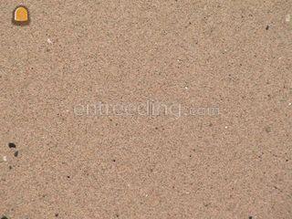 Metselzand Omgeving De IJsselsteden