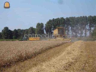 New Holland 8080 Omgeving Goes