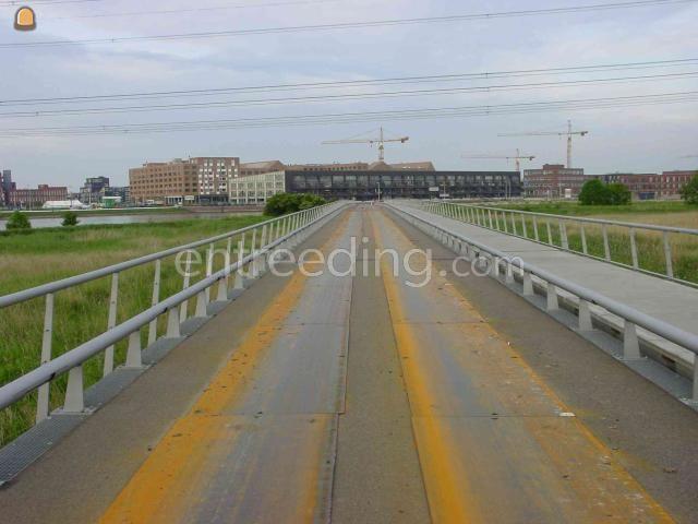 Rijplaten 5x1,5x0,015 meter