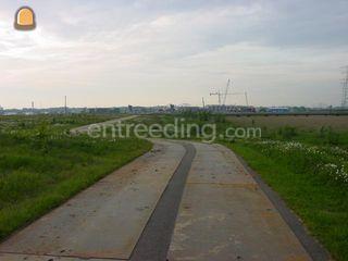 rijplaten 5X1,2X0,01 mete... Omgeving Purmerend