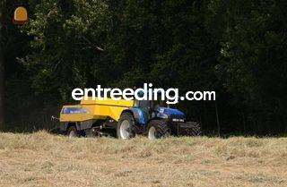New Holland Balenpers Omgeving Maasdriel