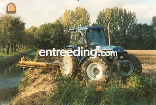 Wallenfrees Omgeving Maasdriel