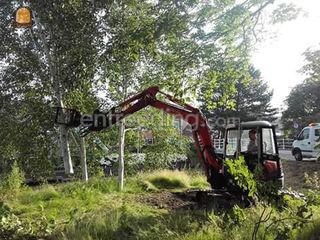 van boom tot haard. van b... Omgeving Rotterdam