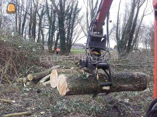 kingshofer Omgeving Rotterdam