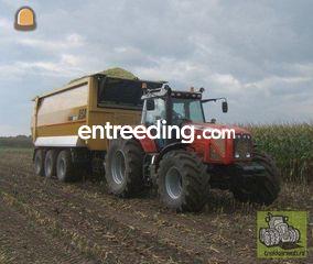 MF 8470 + 30 m3 USA      ... Omgeving Deurne