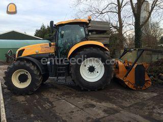 Bomen verklepelaar Berti Omgeving Weesp