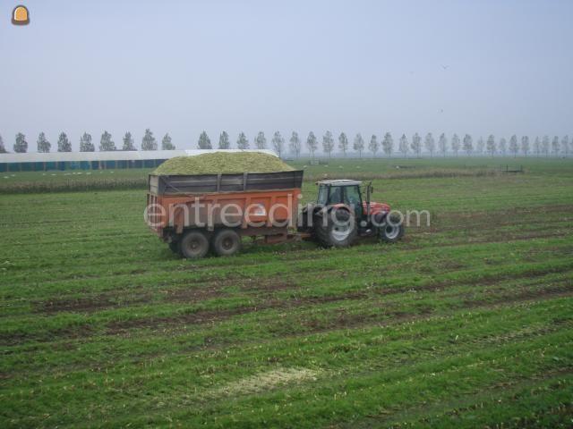 MF + vaia silagekeeper