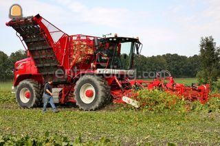 Vervaet 624 Omgeving Purmerend