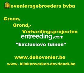 De Vriendt Klinkerwerken uit Gavere