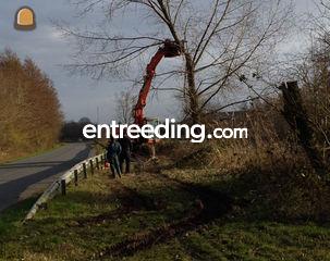 groenaanleg, vellen bomen... Omgeving Ronse, Oudenaarde