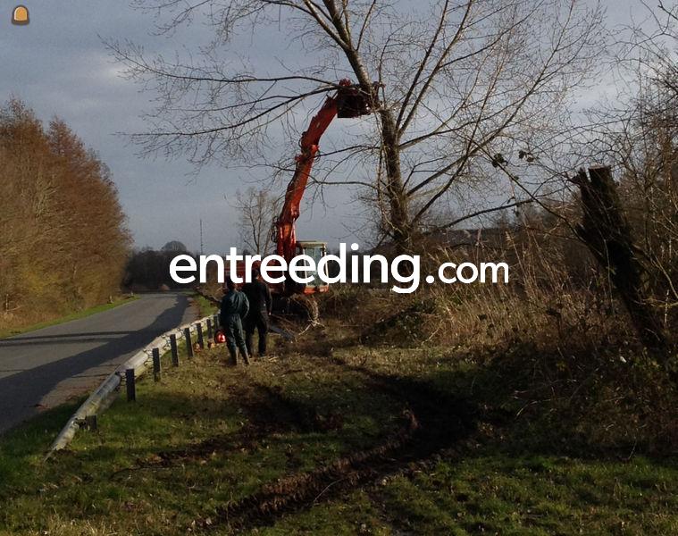 Groenaanleg, vellen bomen, klepelmaaien