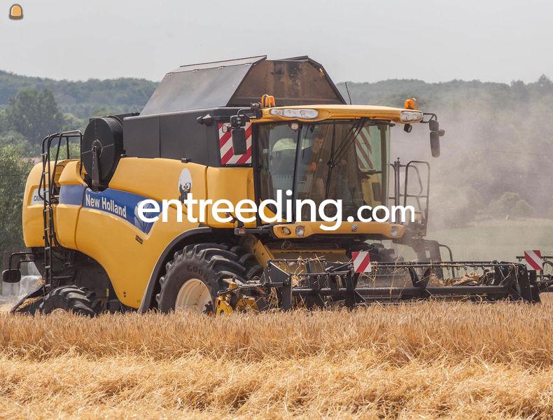 Allerhande loonwerken