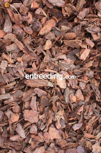 Boomschors leverbaar, verschillende soorten