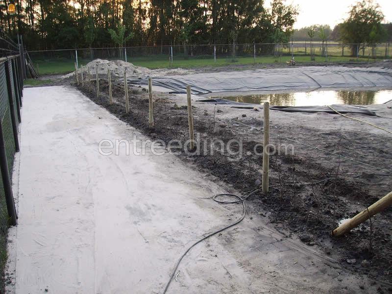 Tuinaanleg, onderhoud, aanleg vijvers, zwembaden, aflsuitingen