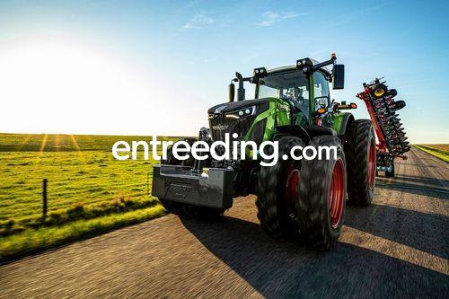 PALTA (Model T214D Direct Smart Touch)