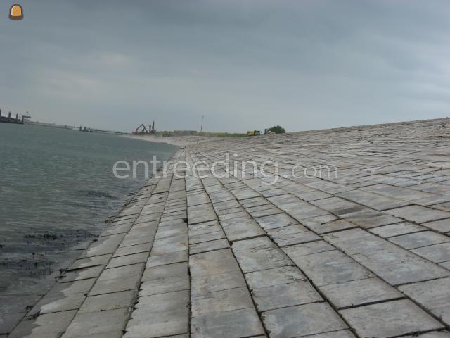 Dijkwerken Hansweert