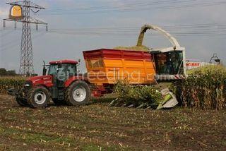 Claas 870 Omgeving Breda