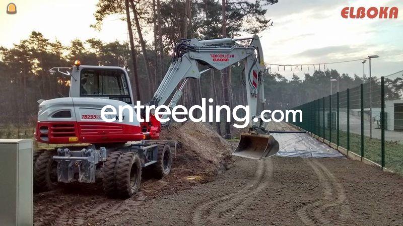 Takeuchi TB295W