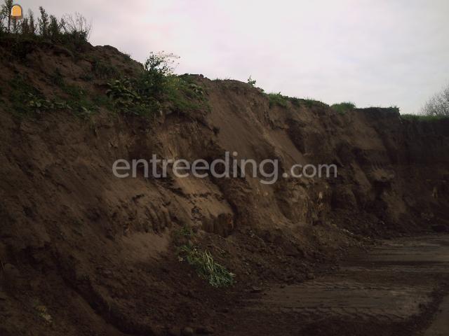 Uit voorraad leverbaar