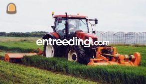 New Holland + Hemos klepe... Omgeving Voorne-Putten