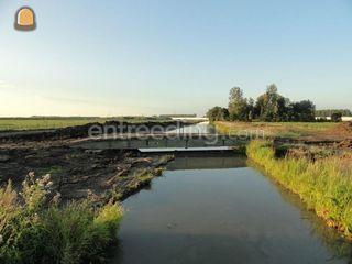 baileybruggen  Omgeving Alphen a/d Rijn