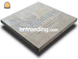 Eurodal plaat met freeswerk