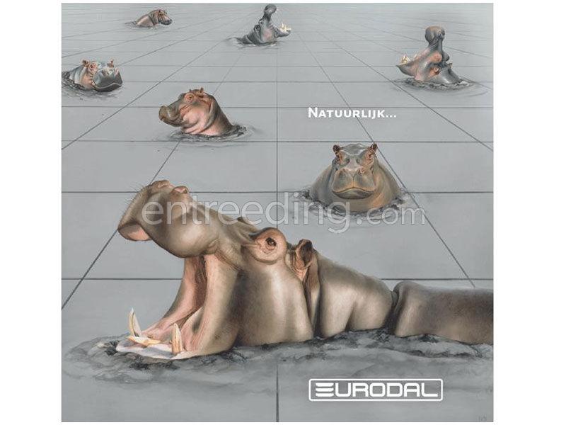 Eurodal B.V.B.A. uit Grobbendonk