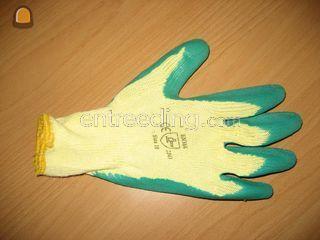 showa werkhandschoen Omgeving Ede