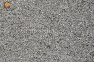 Alt brekerzand Omgeving Utrecht