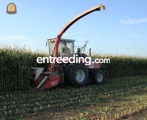 Steyr 8320 Omgeving Maarssen