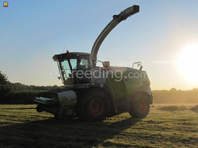 Claas Jaguar 950