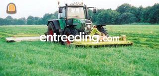 Fendt 716 + Claas maaicom... Omgeving Amersfoort