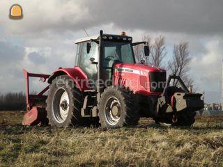 AHWI Bosklepelmaaier Omgeving Voorne-Putten
