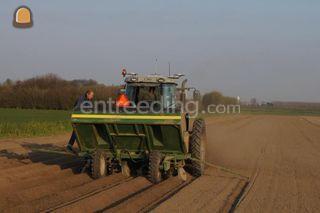 Cramer junior super H 4 r... Omgeving Voorne-Putten