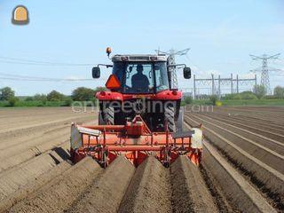 AMAC aardappelfrees Omgeving Voorne-Putten