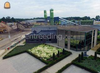 beton, chape,  stabilisé... Omgeving Genk